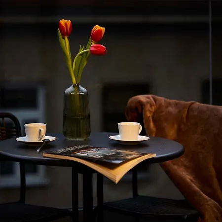 Rockapart - Hauptbahnhof - Neueroeffnung! Apartmanhotel
