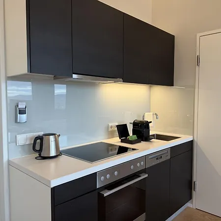 Apartment Skyline View Luxury Loft Near Center *