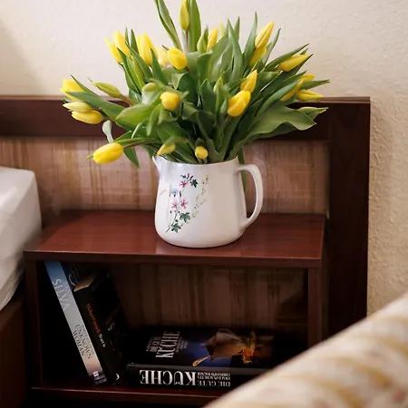 Continental Hotel-pension Bed & Breakfast Vienna