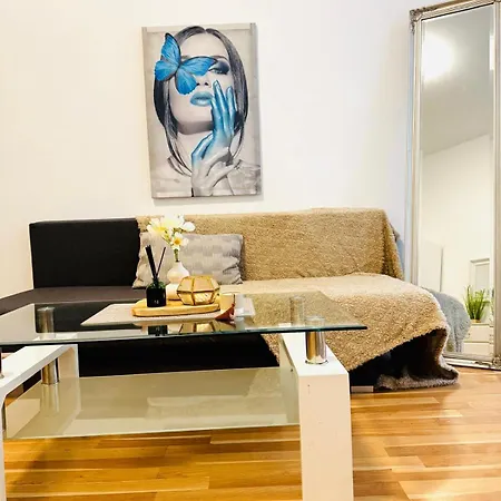 Comfortable Apt, 15 Minutes To Rathausplatz Apartment Vienna
