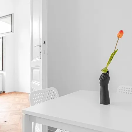 Cozy 2br With Tv & Netflix, Steps From Akh Apartment