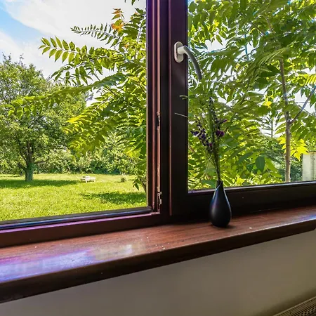 Cozy Entire House With Terrace And Garden, Up To 34p *
