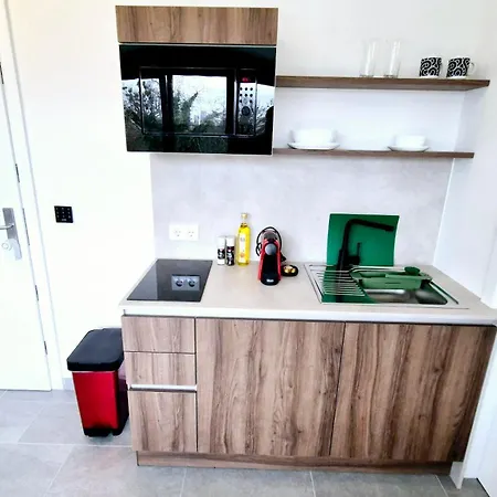 Apartmán Moderne Mit Klima, Perfekter Anbindung Ins Zentrum Und Kostenlose Parkplaetze! Vídeň