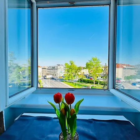 Apartament Amazing 3br Apt, Very In Viena