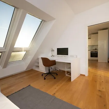 Apartament Floor With Terrace And Views Viena