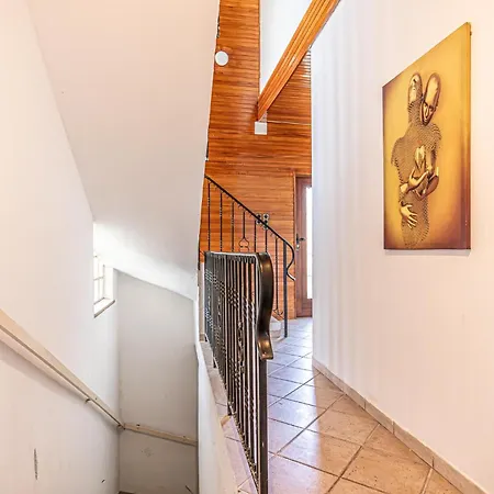 Comfy 3br With Garden, Up To 10 People Apartment