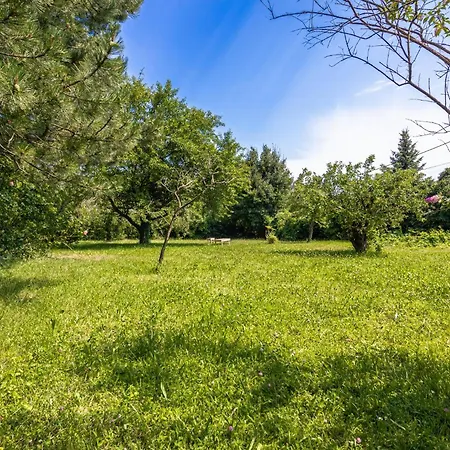 Comfy 3br With Garden, Up To 10 People Apartment Vienna