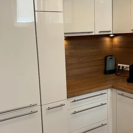 Two Double Bedrooms In Center ウィーン