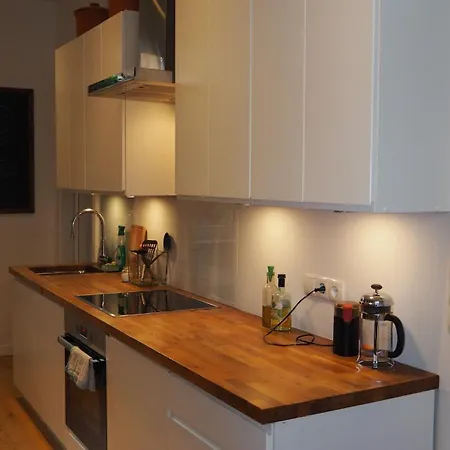 Spacious And Cosy Loft Favorita Apartment *