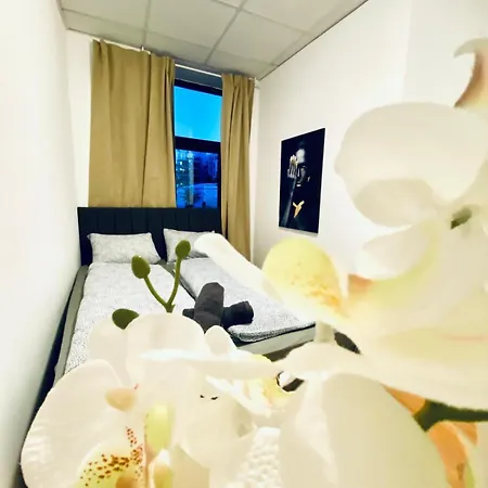 Sweet 3-bedroom Shared In A Quiet Neighborhood