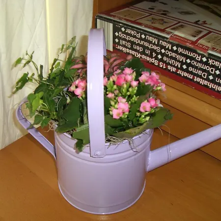Little Paradise - Pubone At Apartamento Viena