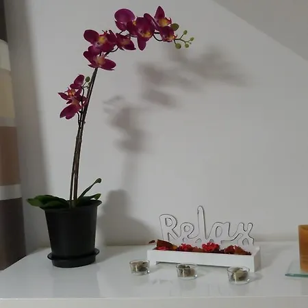Holiday home Cityhome *