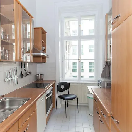 Deluxe Apartment With 3 Rooms - Hegelgasse 17 - * Vienna