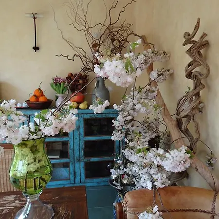 The Bed & Breakfast 3*
