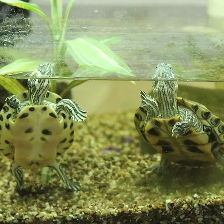 Porzellaneum Wien