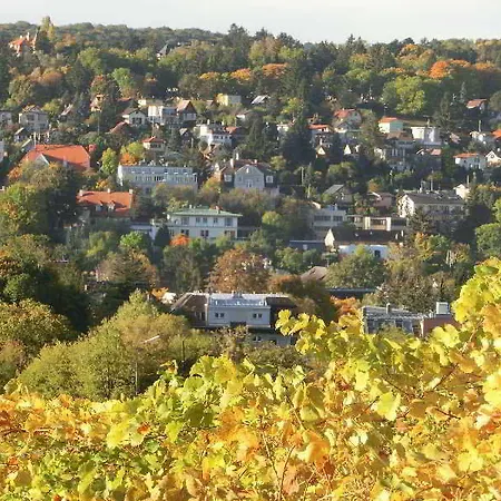 Schild