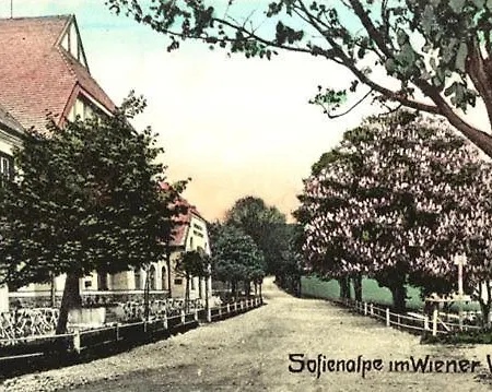 Hotel Hotel-restaurant-cafe Sophienalpe Vienna