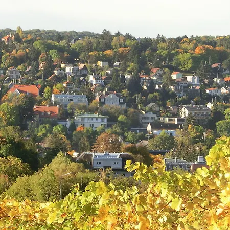 Schild Hotel