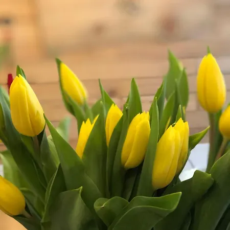 Hostel Boutique Zum Goldenen Kegel Wien