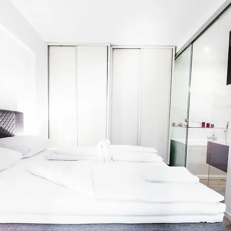 Grand Apartment Vienna