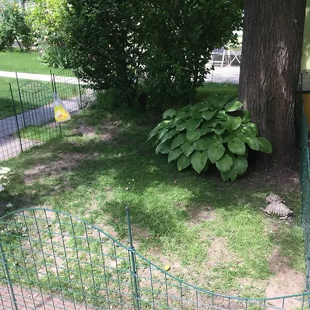 Ajo Danube Apartment