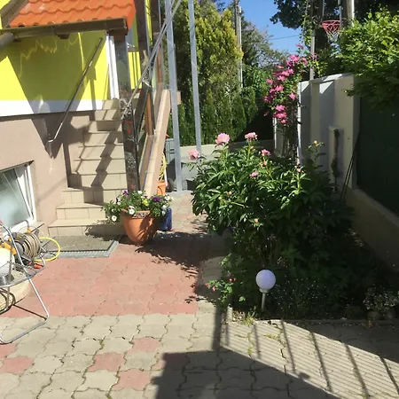 Ajo Danube