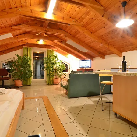 Apartment Ajo Danube Vienna