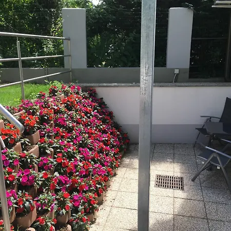 Apartment Ajo Danube *