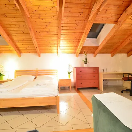 Ajo Danube Apartment Vienna