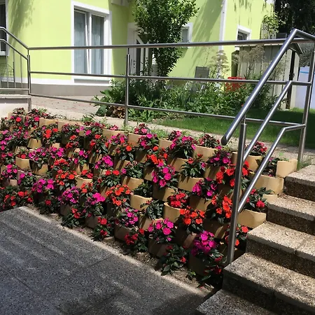 Ajo Danube *