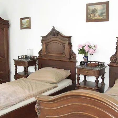 Stay-in 23 * Viena