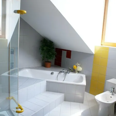 Apartment Grosse Dachwohnung Mit Terrasse Und Wintergarten *