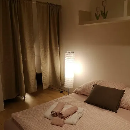 Low Budget Flat Rossau *