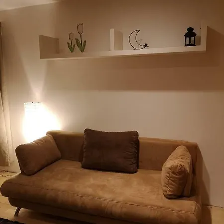Low Budget Flat Rossau *