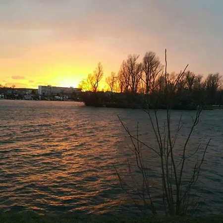Rothauer * Vídeň